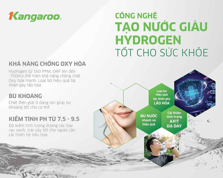 Máy lọc nước nóng lạnh Kangaroo KG10A9I