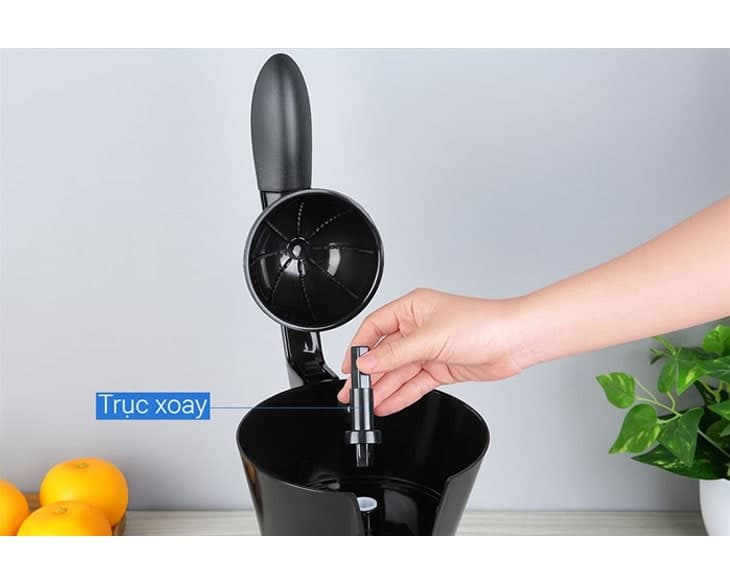 Máy vắt cam Lock&amp;Lock 85W EJJ256BLK