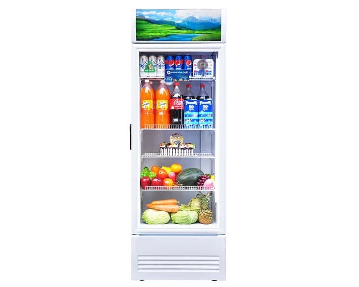 Tủ mát Sanaky 350 Lít VH-4088K
