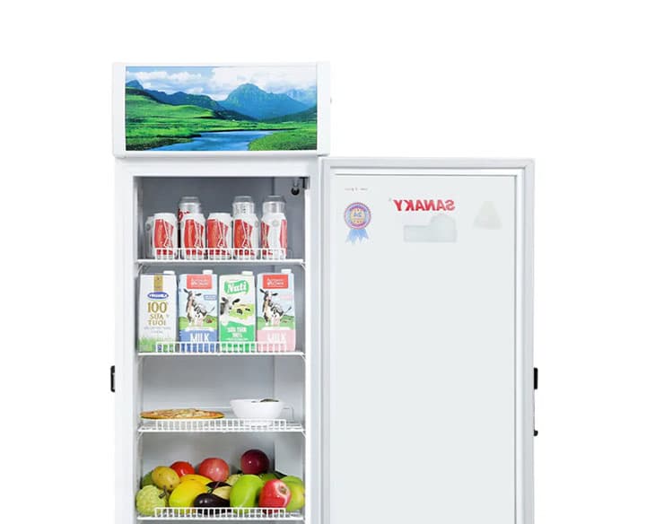 Tủ Mát Sanaky Inverter 240 Lít VH-2589K3