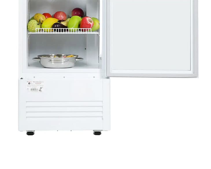 Tủ Mát Sanaky Inverter 240 Lít VH-2589K3